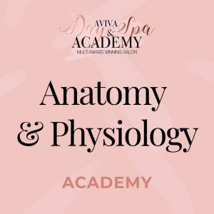 anatomy & physiology course
